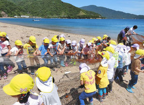地引き網「よいしょ」　敦賀・松原海岸　園児ら８０人体験