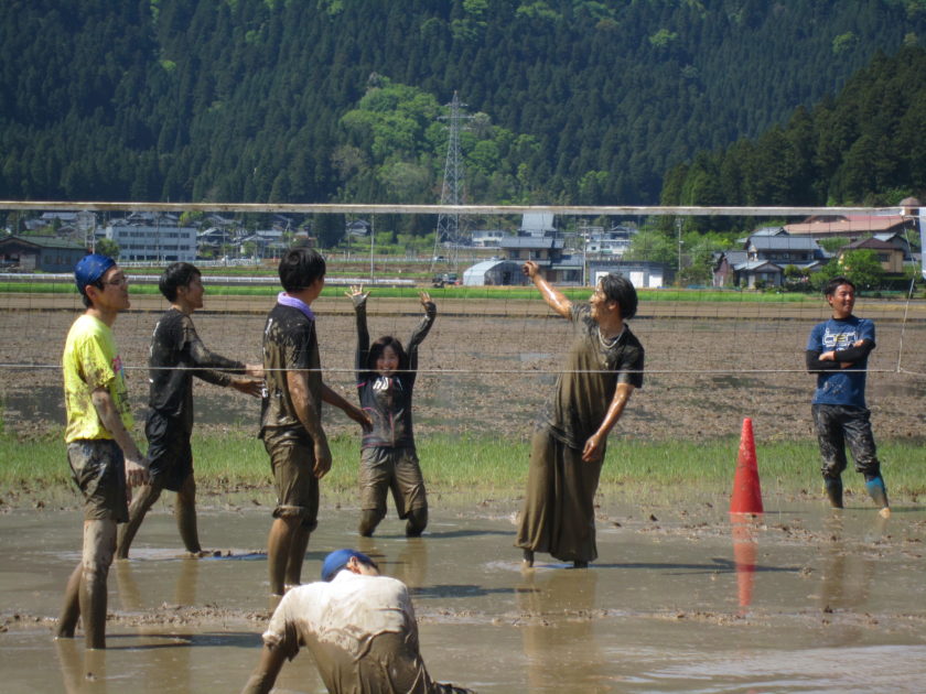 鯖江かたかみ春たんぼ