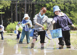 【地域ニュース】山田錦酒造り　体験スタート