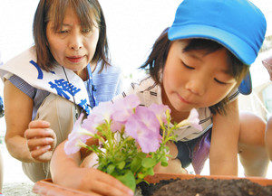 命の大切さ 花で学ぼう 人権擁護協議会あわら市部会 金津こども園に苗贈る