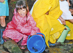 イワナ大きくなってね 勝山・平泉寺小 児童ら荒谷川に放流
