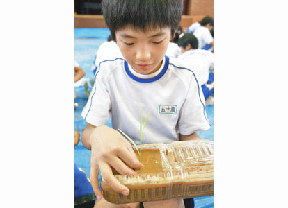 ペットボトルで「田植え」　東十郷小の５年生