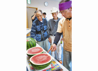 【地域】福井スイカ「甘み強い」 あわら 生産者ら目ぞろえ会