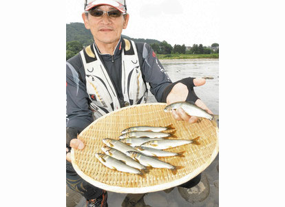 【地域】アユの成長に期待 九頭竜川中部漁協 解禁前に試し釣り