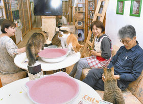 【地域】勝山まちゼミ開始　来月７日まで３７講座