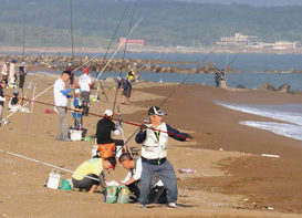 【地域】全国のキス釣り腕競う あわら 東・西日本の代表参加