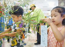 飲酒運転「しないで」三国　園児が交通安全短冊飾り