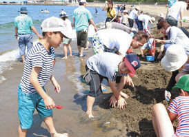 豊かな海の魅力いっぱい　潮干狩り体験　子どもら歓声