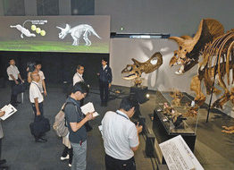最新の恐竜脳研究を解説 きょうから特別展 恐竜博物館