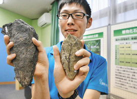 【地域】気候変動示す資料　貴重な和泉産化石展示