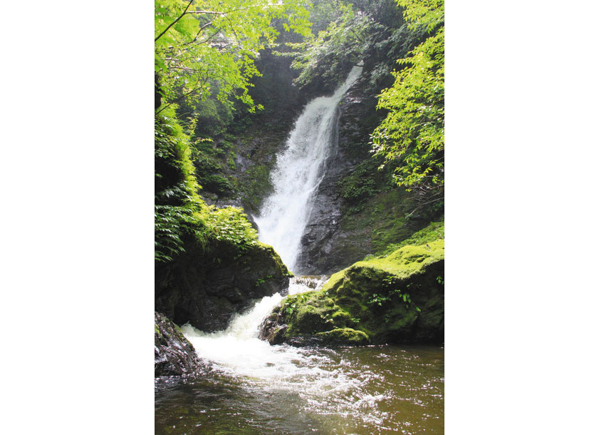 【地域】癒やしの音で一息　おおい・野鹿の滝