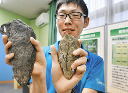 【地域】化石で知る気候変化　大野の郷土資料館で企画展