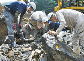 【地域】第４次恐竜調査を再開　新種裏付ける発見期待