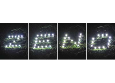 禅をテーマにした光文字　２４日、永平寺大燈籠ながしと共演