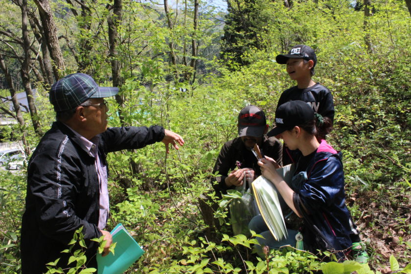 食べれる野草教室