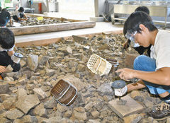ふるさと大野 魅力発見 地元の児童 化石発掘体験や施設巡り