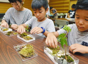 【地域】美しい日本庭園できた 福井親子らミニチュア作り