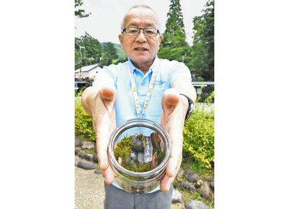 白山神社境内のコケ再現へ　勝山で来月７日　容器で栽培
