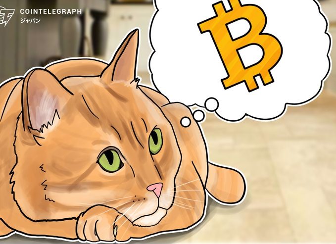「東京五輪の仮想通貨への影響は？」「日本人はなぜXRPが好き？」 ビットバンク幹部が韓国メディアに答える