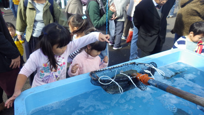 若狭高浜ふぐまつり/高浜町産業まつり