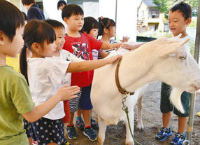 京都から動物やって来た　丸岡　園児ら餌やり触れ合う