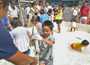 【地域】ハマチ捕まえたよ　越前町でまつり　魚介類など販売