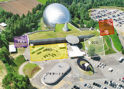 【地域】県立恐竜博物館の増改築、県が４候補地示す