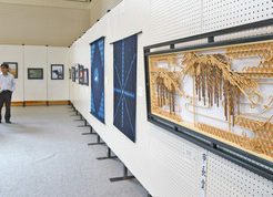 近藤さん　写真　市長賞　5部門311点　大野市美術展始まる