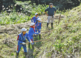 ミチノクフクジュソウ守る　勝山・村岡小児童　自生地で除草