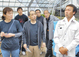 小浜の野菜農家を巡回　市場関係者ら意見交換
