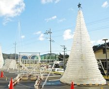 ペットボトルのツリー完成　小浜で２３日、点灯
