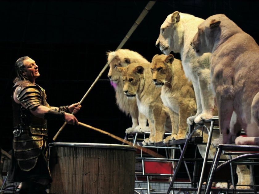 【現在休演】木下大サーカス金沢公演