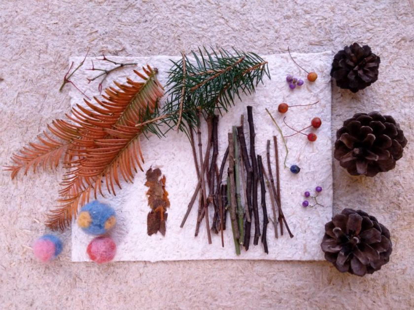 親子で自然とふれあいさんぽっぽ