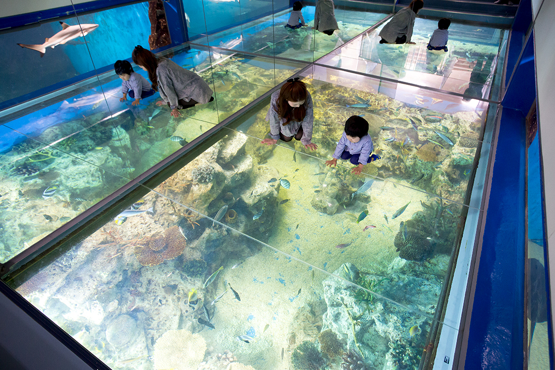越前松島水族館 