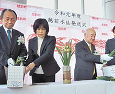 越前水仙で越前町感じて　友好都市、旅行会社へ発送
