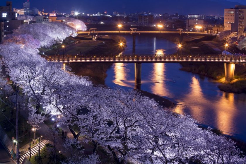 【中止】第35回ふくい桜まつり