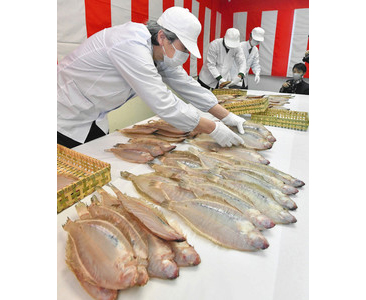 若狭かれいを皇室へ　小浜で発送作業