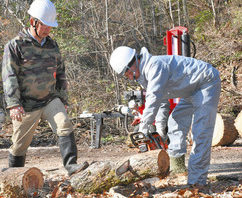 クマ被害木を解体、再利用へ　勝山恐竜の森