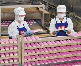 紅白かまぼこ、生産が本格化　敦賀の老舗「小牧」