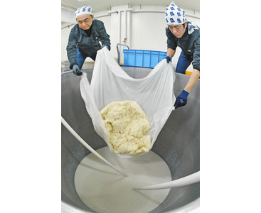 「さかほまれ」で初仕込み　オール福井産の大吟醸酒