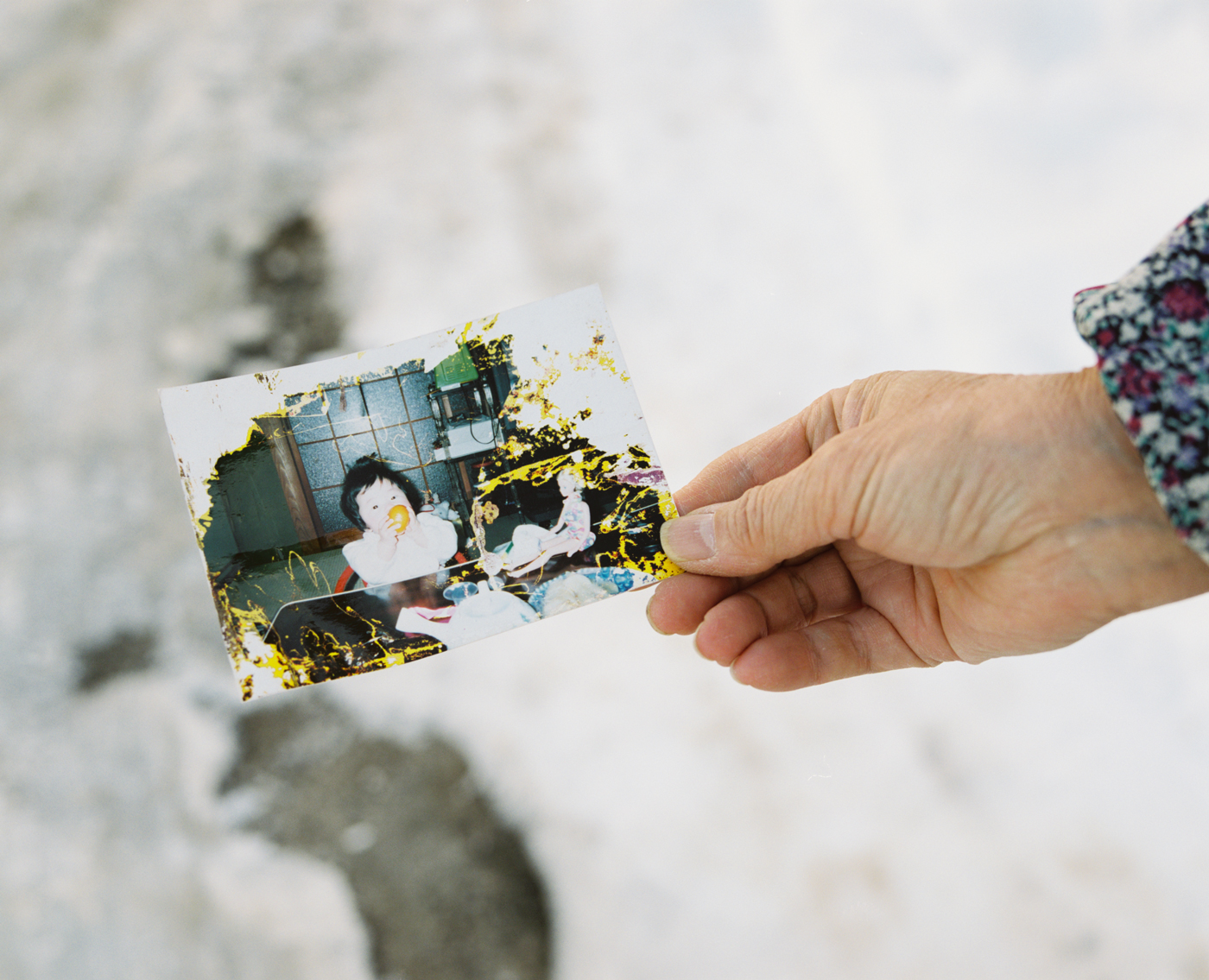 浅田家「アルバムのチカラ」浅田政志