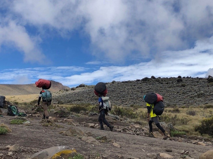 キリマンジャロ