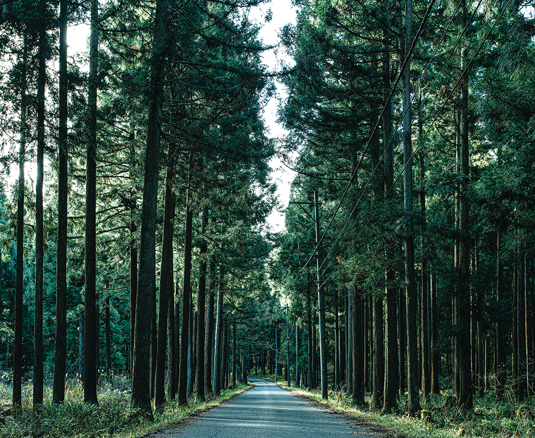 月刊ウララ1月号エリア特集『池田町・魚見』で感じる“こっぽい”時間