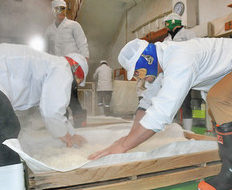 大野で「サケマン」が酒造り体験　米国拠点の４人組