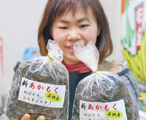 海藻「アカモク」どうぞ　漁船の邪魔者→健康食品