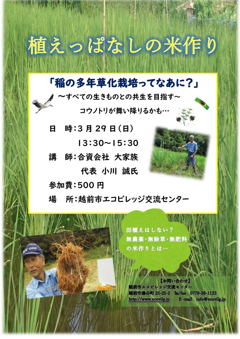 里山スクール 「植えっぱなしの米作り」
