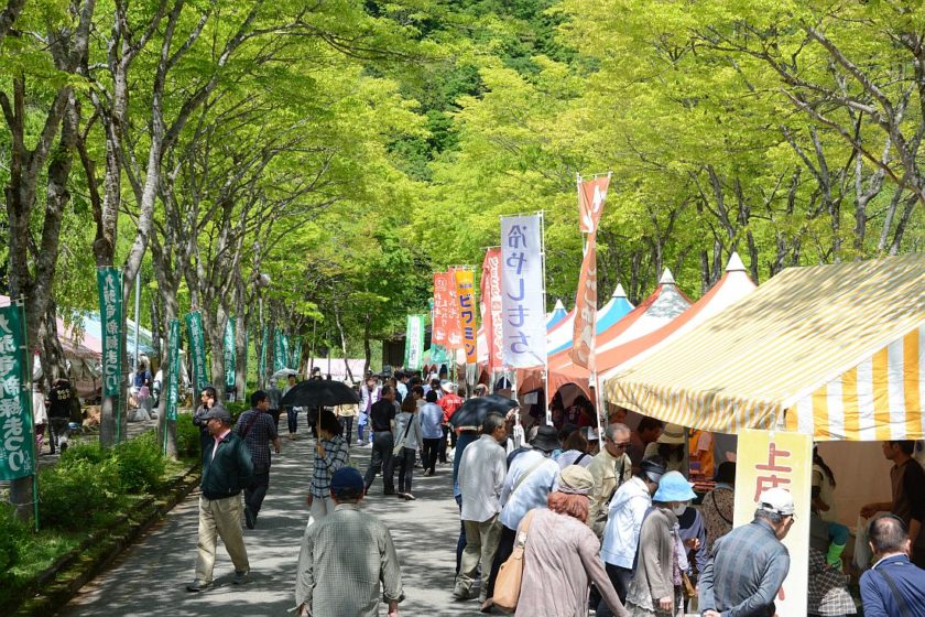 【中止】九頭竜新緑まつり 2020