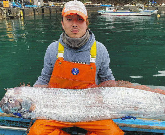 リュウグウノツカイ出現　小浜「大漁予兆ならうれしい」