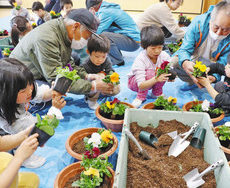 卒園式にパンジーを　臨む園児と住民寄せ植え
