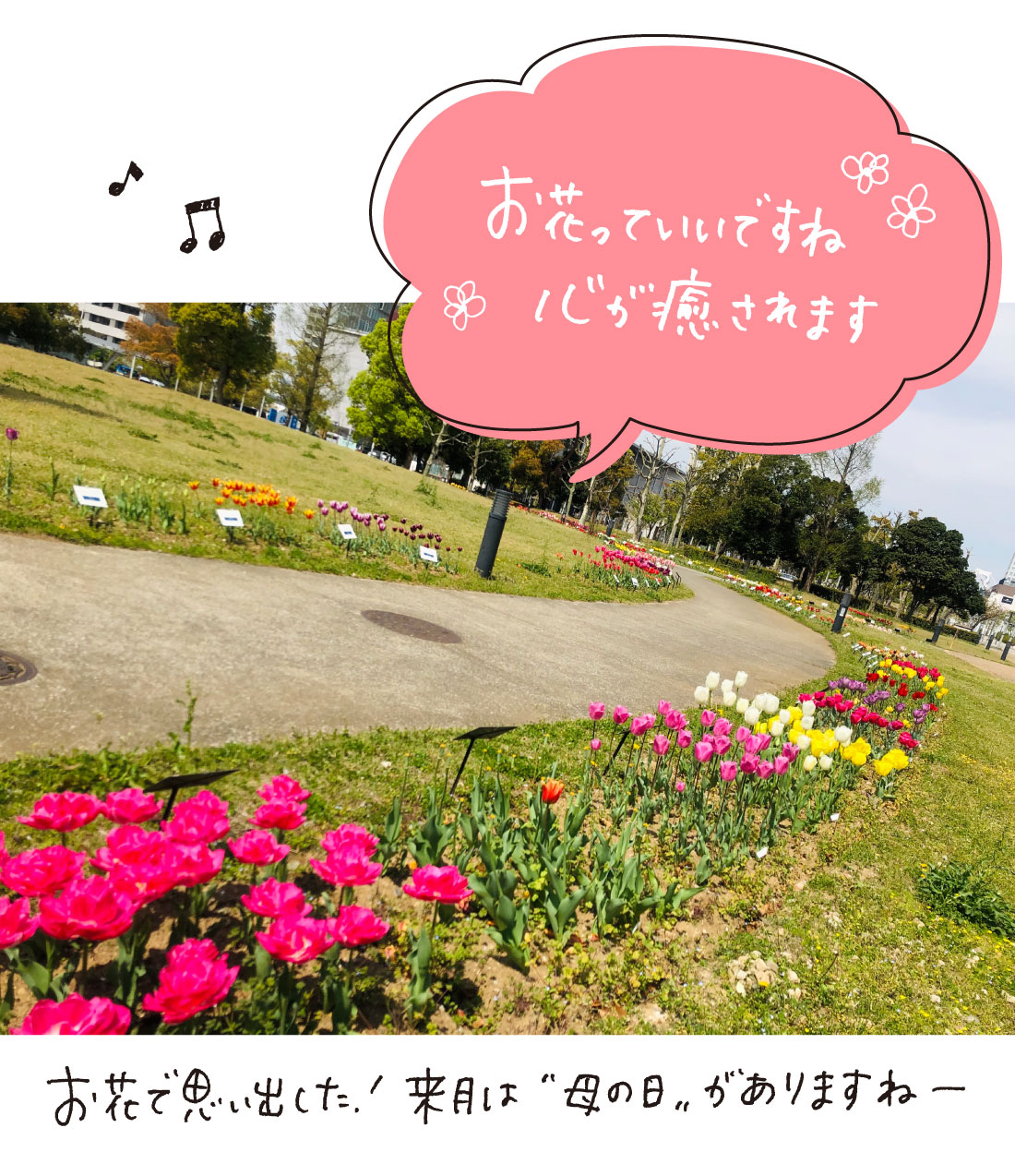 西村まどか